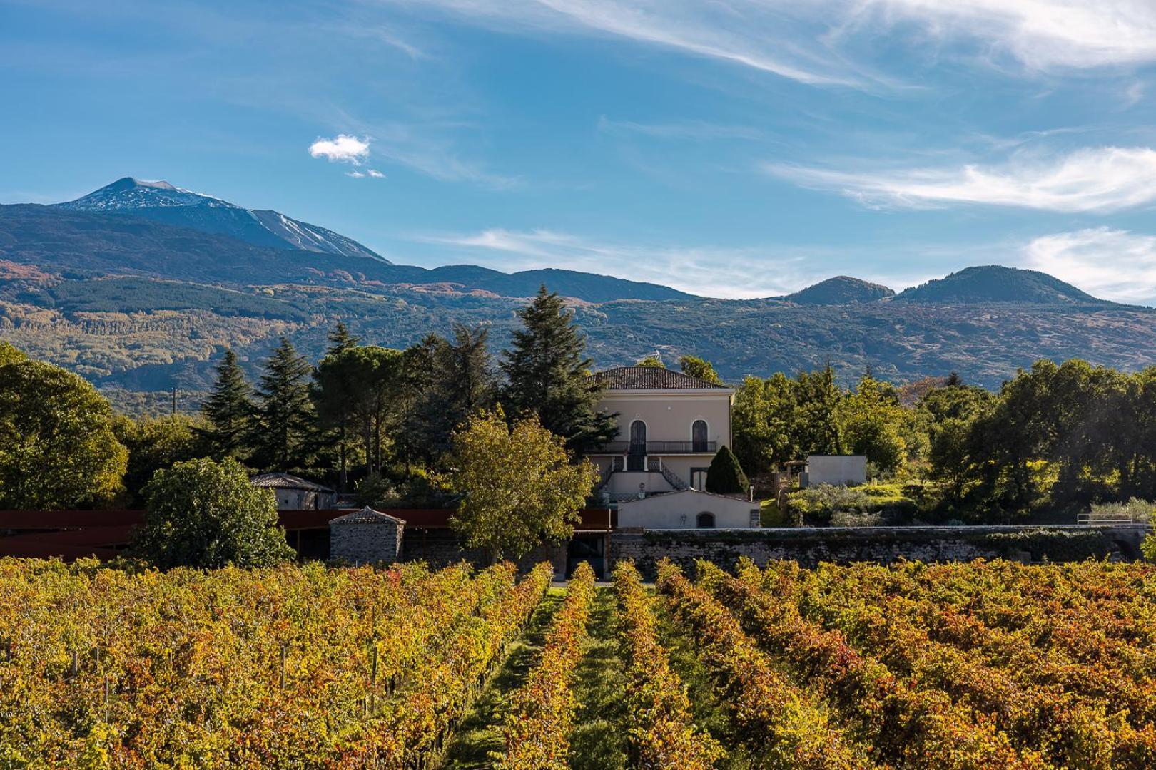Campore Etna Wines And Resort รานดัซโซ ภายนอก รูปภาพ